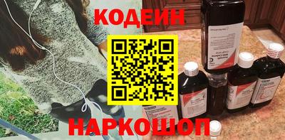 apvp Бийск