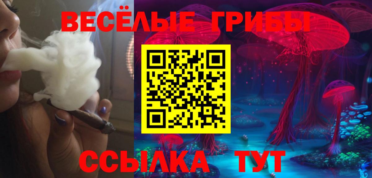 Псилоцибиновые грибы Magic Shrooms  даркнет сайт  Ишимбай  Псилоцибиновые грибы Cubensis  Вход с VPN 